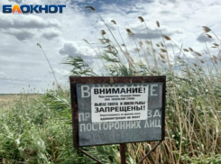 Большой Лиман под федеральным контролем: что сообщили в комитете Волгоградской области