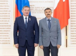 Губернатор присвоил Почетное звание скульптуру, работавшему в Волжском