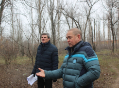 В Волжском запущенный парк хотят превратить в место отдыха детей