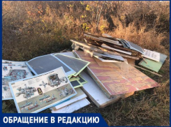 «Мусор выкинули прямо под окна жилых домов», - волжанка