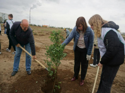  В Волжском стартовала акция «Сохраним лес»-2022