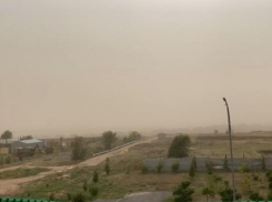 Пыльная буря накрыла Волжский: видео 