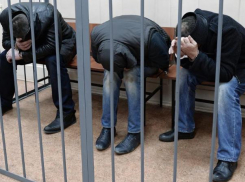 Волжане останутся «за решеткой» по решению областного суда