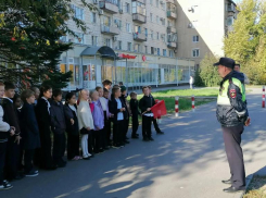 В Волжском первоклассников научили переходить дорогу