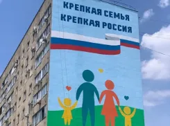 Колы больше нет. На фасаде одного из домов Волжского появился новый мурал