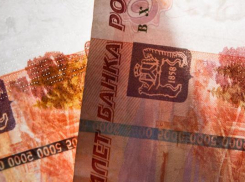 В канун Нового года в Волгограде задержали серийную мошенницу