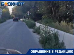 Новая дорога заросла травой после ремонта в центре Волжского: видео