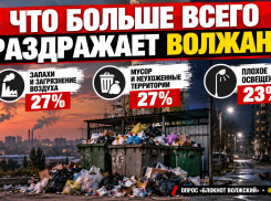 Запахи, мусор и тёмные улицы: жители назвали главные проблемы Волжского