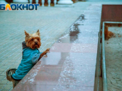 Переменчивую погоду обещает первый рабочий день 2021 года 