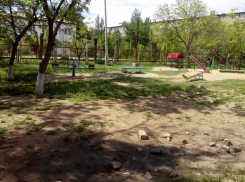 Ветеран труда из Волжского пытается добиться безопасности в своём дворе