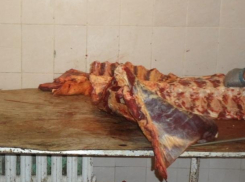 На 10 тысяч за кишечную палочку в мясе оштрафовали юрлицо