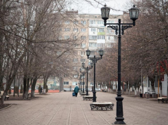 Волжане могут выбрать имя новому парку