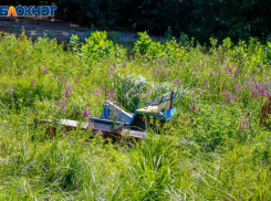 В субботу волжанам запретят подстригать ногти: что можно и нельзя в Силин день