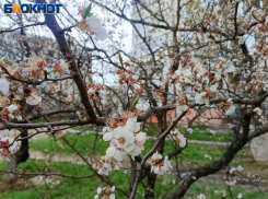 Майское затишье с сюрпризом: когда Волжский накроет геоштормом