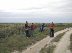 На берегу природного парка «Эльтонский» собрали 20 мешков мусора 