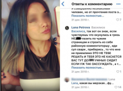 Курицы, овцы и лошади, - мастер Лана о клиентках