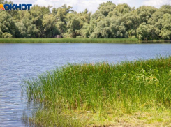 Облить водой соседа рекомендует волжская травница в День Ивана Купалы