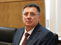 Евгения Ковшикова назначили новым детским омбудсменом по Волгоградской области