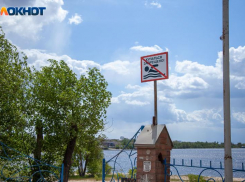 15 человек утонули с начала лета: жителей Волжского просят соблюдать правила на воде