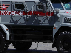 Росгвардеец убил старушку: В Волгограде возбуждено уголовное дело о смертельном ДТП