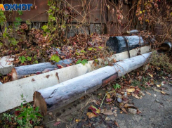 Дмитриев день: народные приметы, обычаи и запреты этого дня