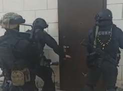 Задержание аферистов, обманувших фермера, попало на видео в Волгоградской области