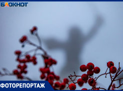 Братская могила и вечная память павшим воинам: фото-гид для волжан