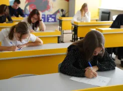 Волжская гимназистка стала победителем регионального этапа олимпиады школьников