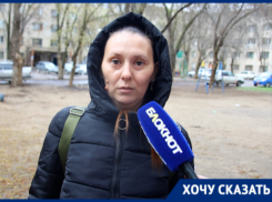 В Волжском бойцовский пес без поводка и намордника напал на чихуахуа на глазах у 13-летней девочки