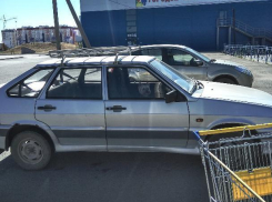 Собаку забыли в запертой машине на жаре, - волжанка