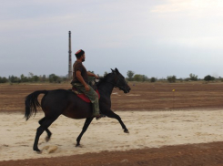 Волжский встречает «Константиновский фестиваль»: программа мероприятия