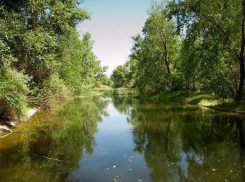 В Среднеахтубинском районе реанимируют ерики