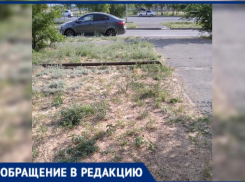 Труба есть, полива нет: отчеты мэрии Волжского противоречат реальному положению дел