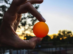 В день пинг-понга синоптики обещают переменную облачность