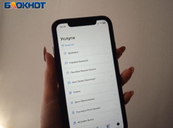 На портале Госуслуги добавлены новые услуги для волжан