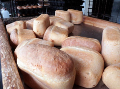 Хлеб всему голова: на что пойдут 68,5 миллионов, выделенные Волгоградской области