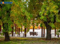 Ясное небо и ветер: прогноз погоды в Волжском