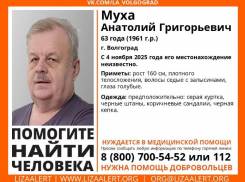 Нуждается в медицинской помощи: в Волгограде пропал 63-летний Анатолий Муха