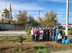 Сиреневый сад в честь волжанки Зои Корняковой стал пышнее 