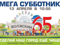 В Волжском по случаю субботника пройдёт аукцион коллекционных пластинок