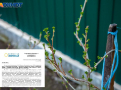 Более 7 миллионов долга: почему СНТ «Строитель» в Волжском остался без воды