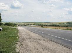 На трассе в области сбили пешехода насмерть
