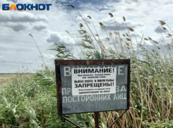«Блокнот Волжский» сделал замеры воды из легендарного лимана –одном из самых загрязнённых водоёмов страны