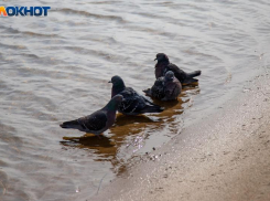 Дождь начнется в Волжском в четверг