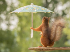 Синоптики спрогнозировали прохладные праздничные дни в Волжском