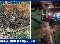 Сухостой и поселившийся у отдела полиции бомж: волжанин жалуется на ситуацию во дворе