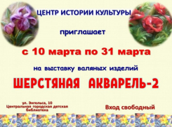 Волжанам покажут шерстяную акварель