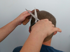 О массовых случаях размножения вшей волжанам сообщили в Роспотребнадзоре