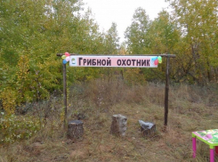 Волжан приглашают на чемпионат по сбору грибов