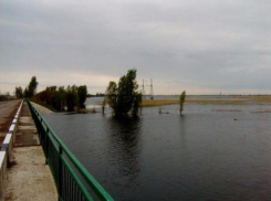 Экологический квест по уборке берега Ахтубы решили провести в Волжском